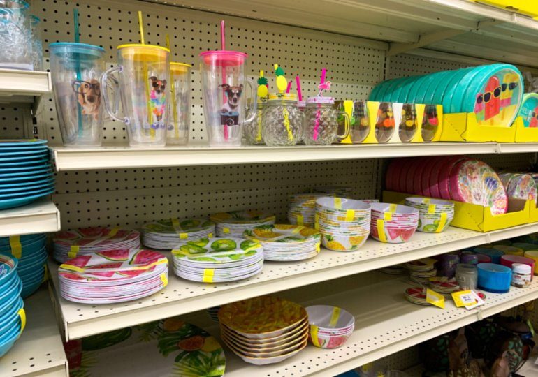 Big Lots Summer Dishes