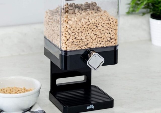 Dry Food Dispenser on Sale