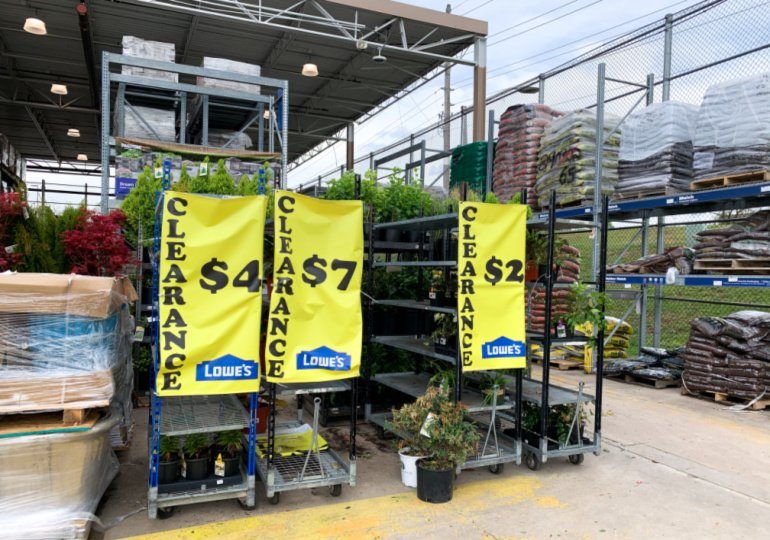 Lowes Plant Clearance
