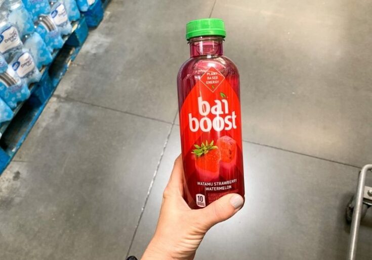Bai Infusion Drink Coupons! FREE Bai Boost with Your Phone!