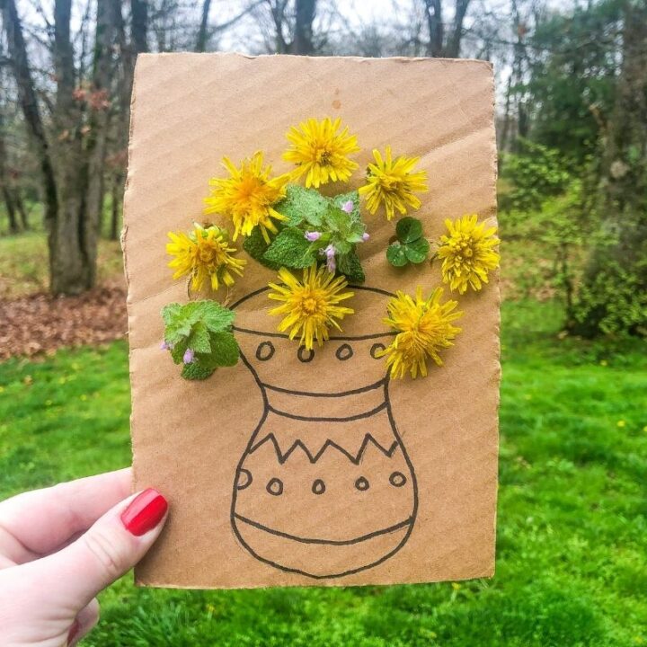 dandelion diy