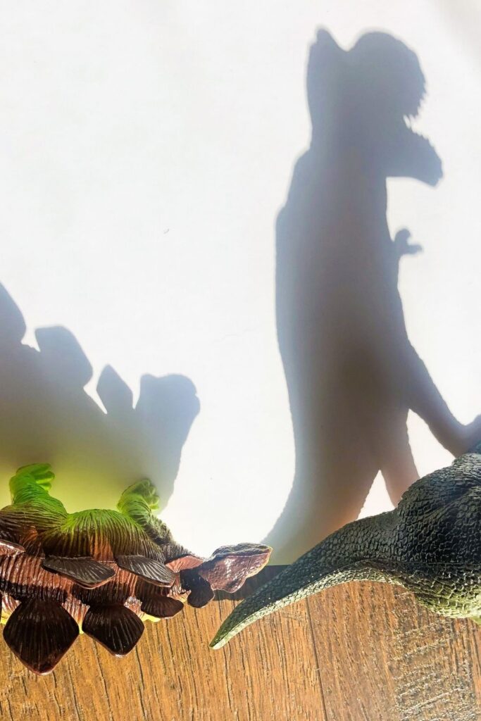 Shadow Drawing is an easy art activity you can do indoors. A shadow activity for kids of all ages. Grab some toys and paper and pens and enjoy. #passion4savings #animal #shadow #drawing #art #kid #child #preschool #sunshine #indoorfun dinosaur diy art