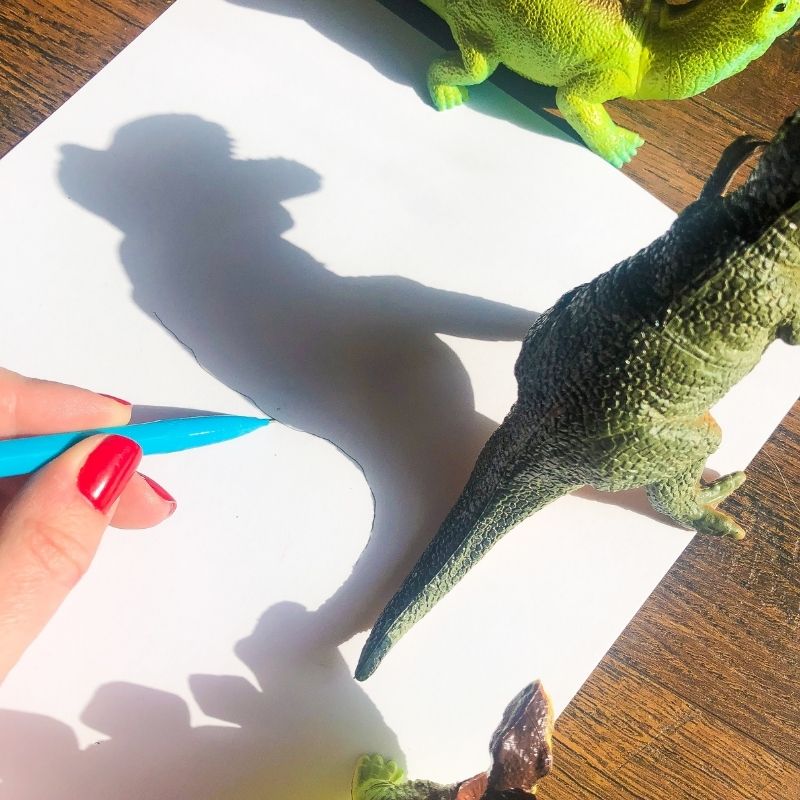 Shadow Drawing is an easy art activity you can do indoors. A shadow activity for kids of all ages. Grab some toys and paper and pens and enjoy. #passion4savings #animal #shadow #drawing #art #kid #child #preschool #sunshine #indoorfun tracing activity