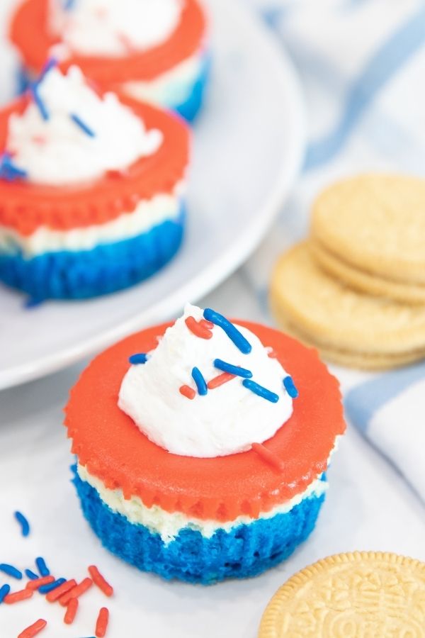 Red White and Blue Mini Cheesecakes are a fun patriotic dessert that will be a bang. Layered cheesecake that is festive, and creamy! #passion4savings #dessert #recipe #patriotic #festive #4thofjuly #easy #baked #muffintin #singleserve 4th of july cheesecake recipe