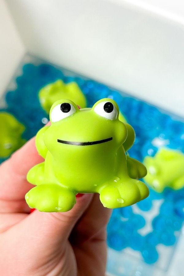frog sensory bin