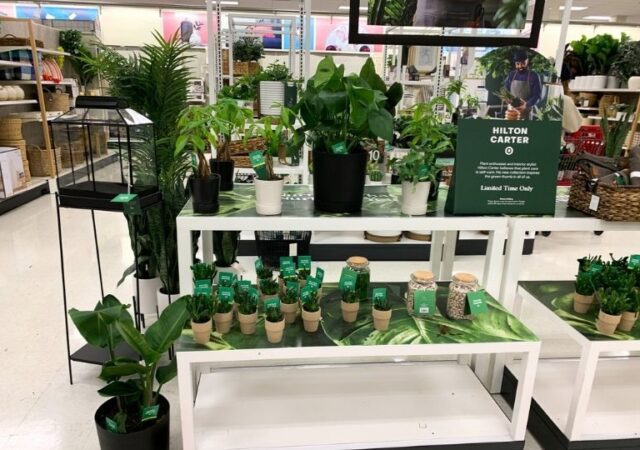 Hilton Carter Collection at Target