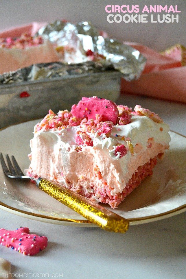 lush no bake dessert sliced on aplate 