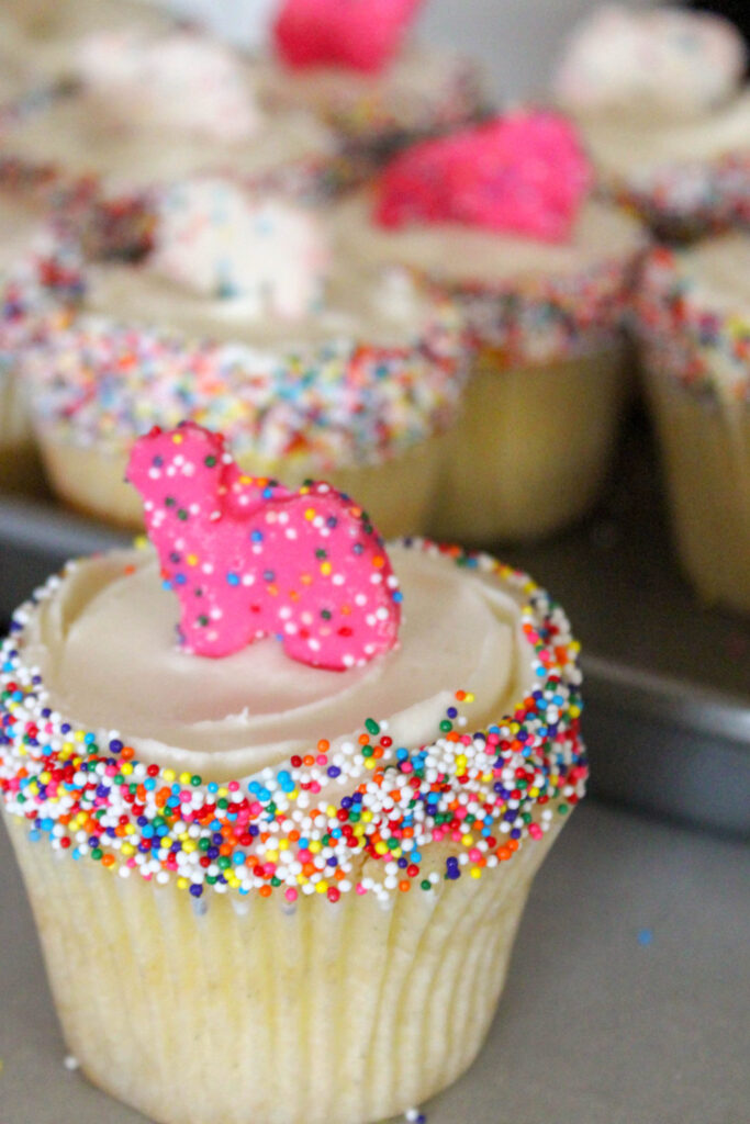 circus animal cupcakes 