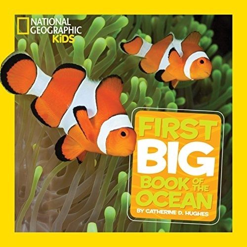 National Geographic Little Kids First Big Book Deals (2)