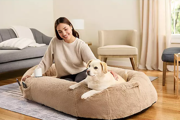 pet bed on sale