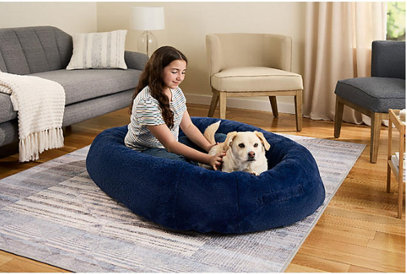 pet bed
