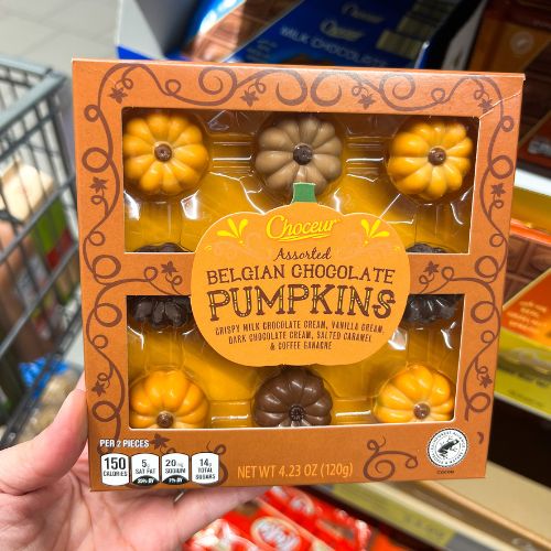 Aldi Pumpkin finds