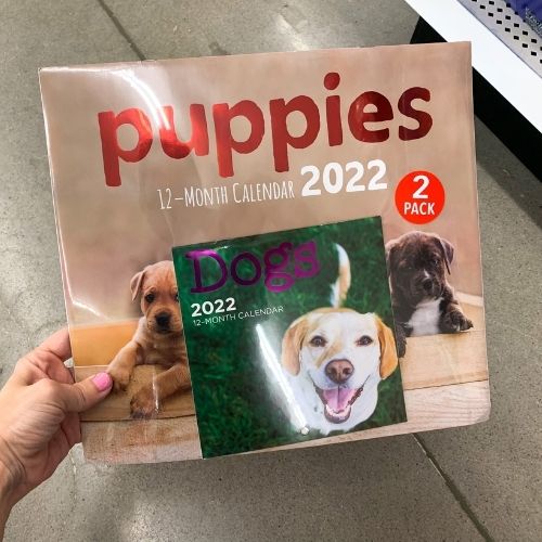 Dollar Tree Calendars