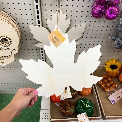 Those are just a few of my favorite Dollar Tree Fall Decor finds!