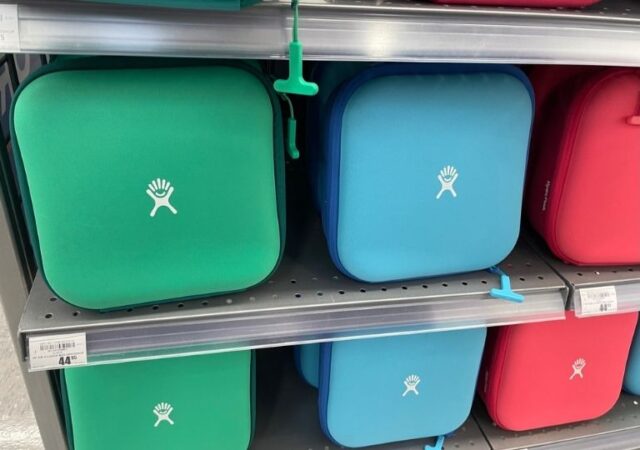 Hydro Flask Lunch Boxes on Sale (1)