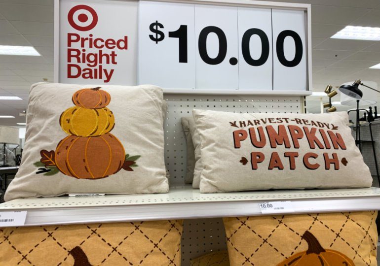 bear throw pillow target