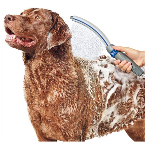 Waterpik Dog Shower Attachment