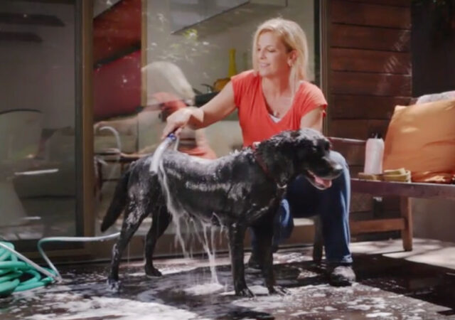 Waterpik Dog Shower Attachment