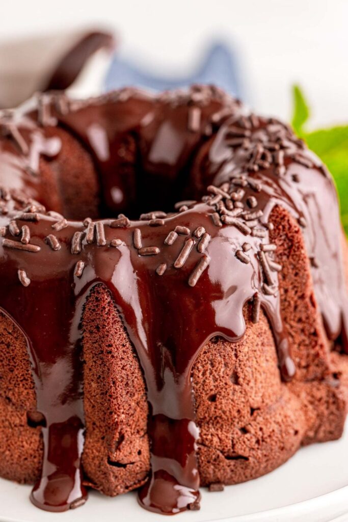 double chocolate bundt cake on plate, close up view of cake 
