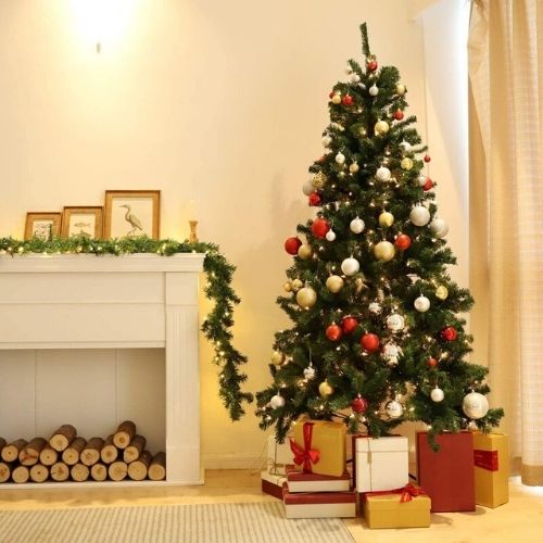 Christmas Trees on Sale (2)