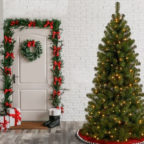 Christmas Trees on Sale (3)