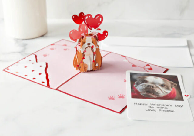 Lovepop 3D Cards