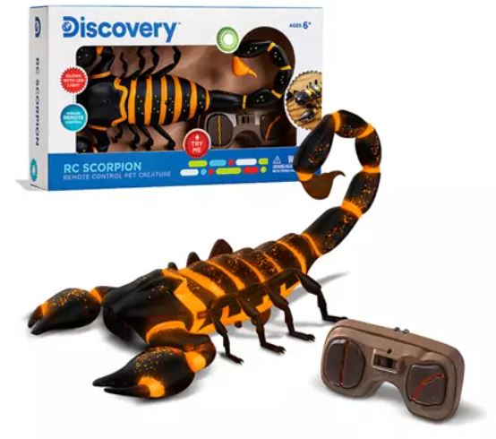 Discovery Kids Toys on Sale