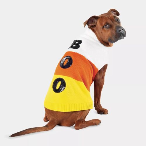 Pet Halloween Costumes on Sale