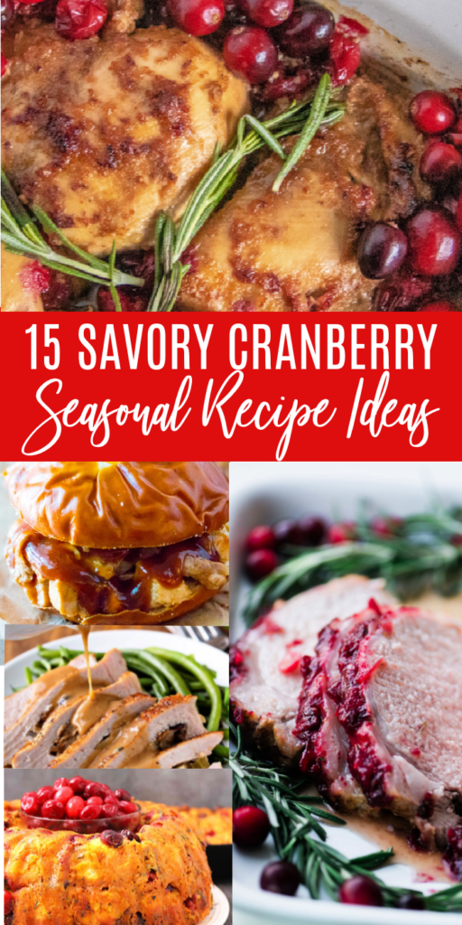 Savory Cranberry Recipes to consider this holiday season. Easy dinner ideas with chicken, pork and so much more. Simple cranberry recipes! #passion4savings #cranberry #savory #dinner #fall #christmas #holiday #dinner #mealtime #ideas #savory savory cranberry recipes