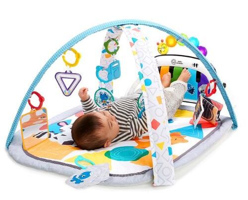 Baby Einstein Toys on Sale (1)