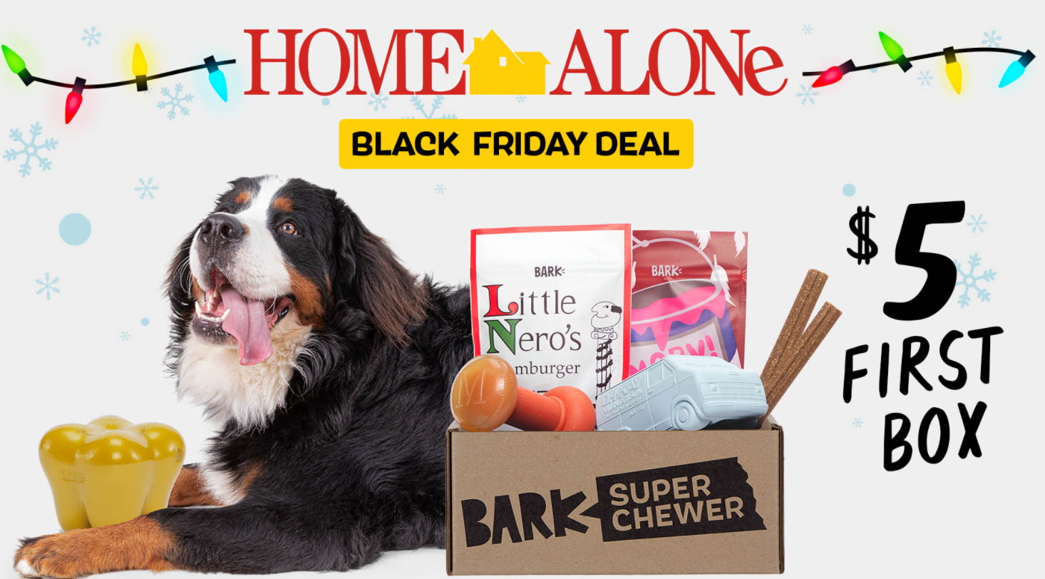 $5 super chewer barkbox