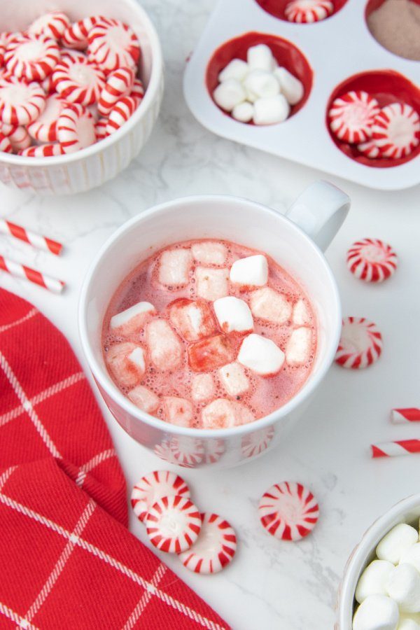 warm cup of hot chocolate