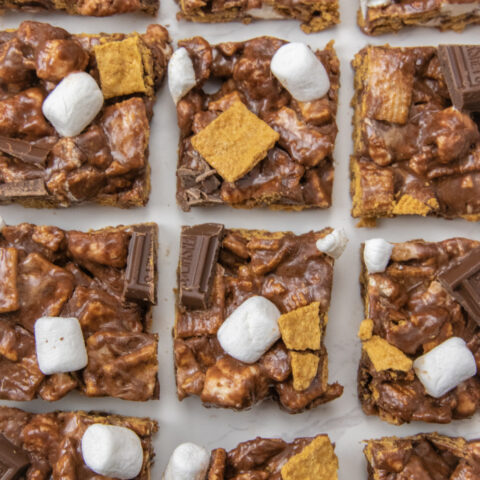 smores bars cut into bite size pieces