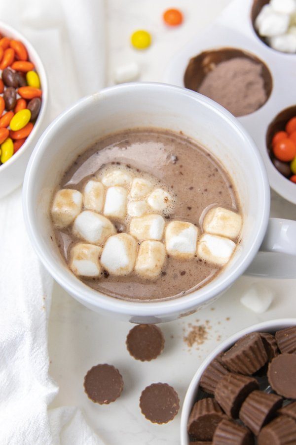 overhead shot of hot chocolate with marshmallows