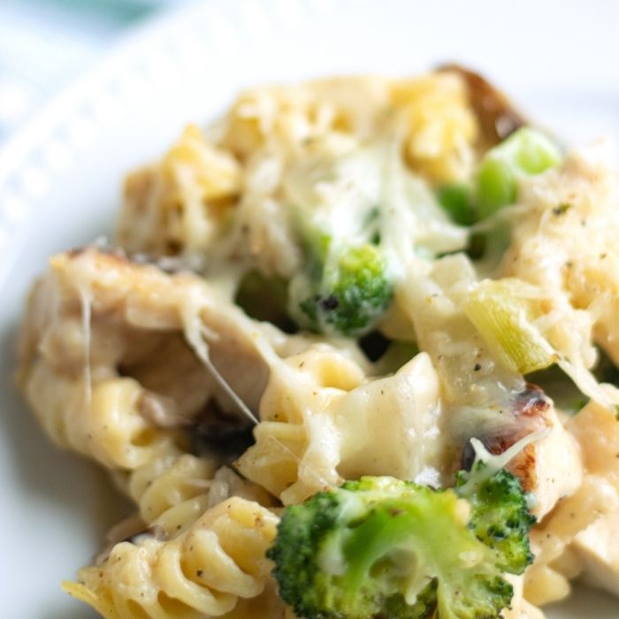 chicken and broccoli casserole 