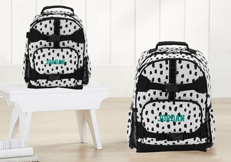 hiking picnic backpack