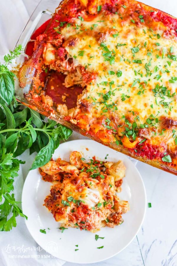 plate with pasta on it and casserole dish behind it 