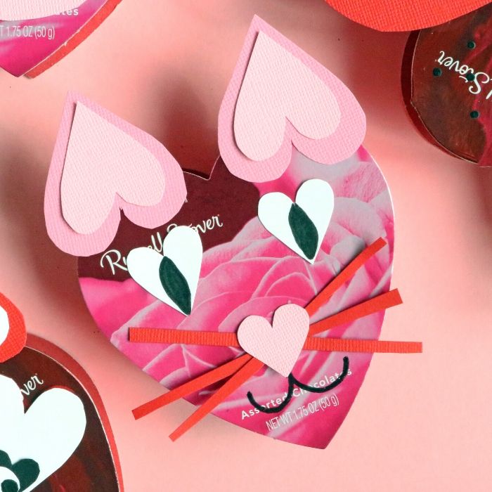 cat box of chocolates 