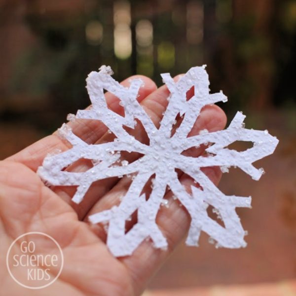 salt crystal snowflakes 