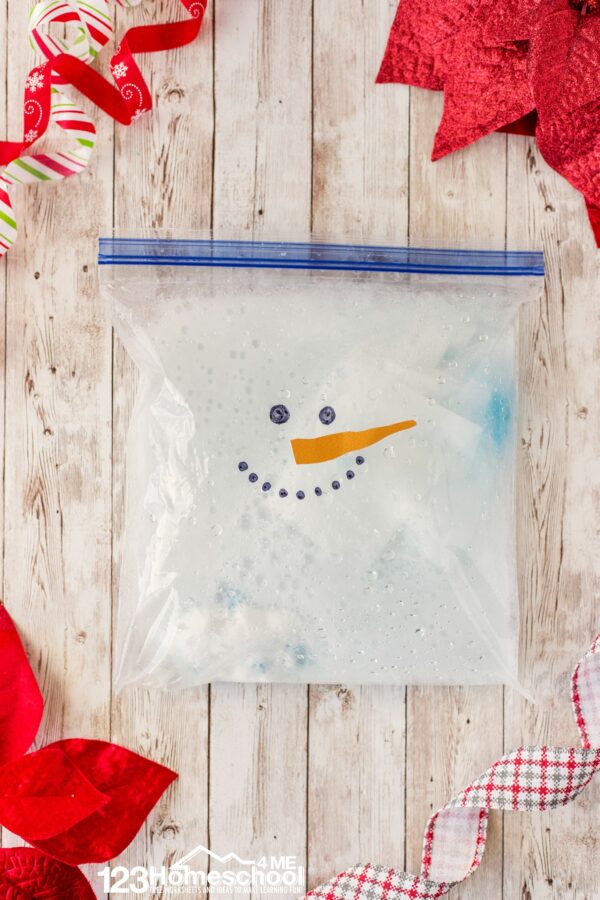 snowman in a bag activity 