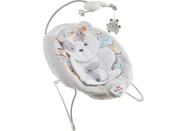 Fisher-Price Baby Bouncer on Sale