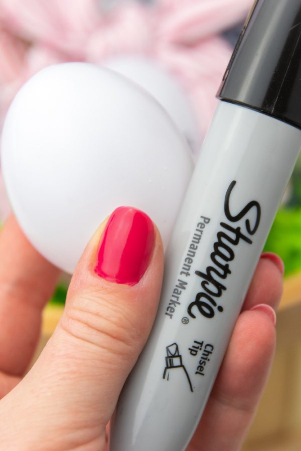 faux egg and sharpie in nad 