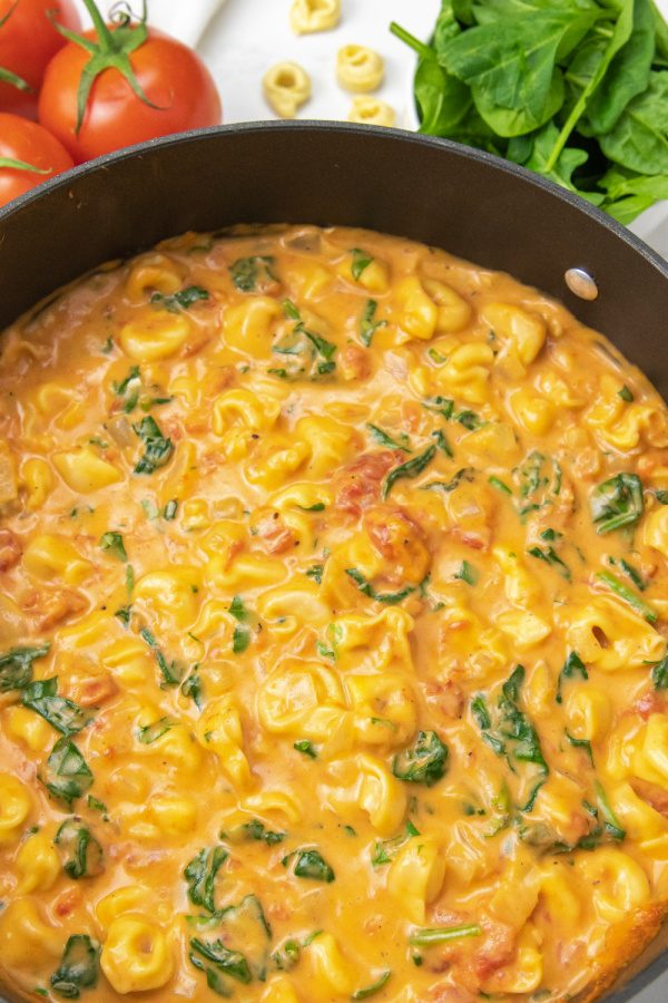 overhead shot of soup 