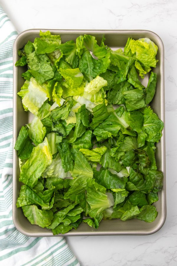 Sheet Pan Cobb Salad For A Crowd that is ready in no time. Tender chicken, loads of veggies, eggs, cheese and dressing. A must try. #passion4savings #cobb #salad #dinner #healthy #foracrowd #dinner #lunch #easy lettuce spread out on sheet pan