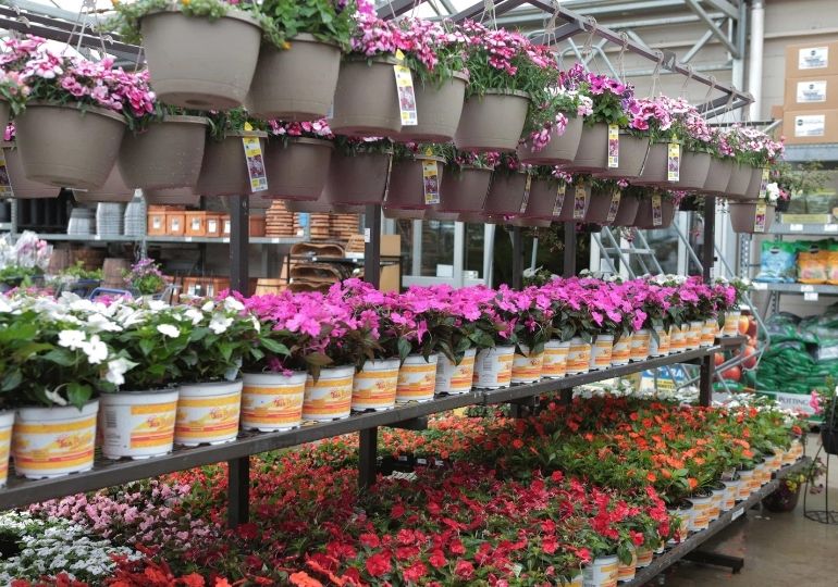 Free Lowe's Flowers for Mother's Day