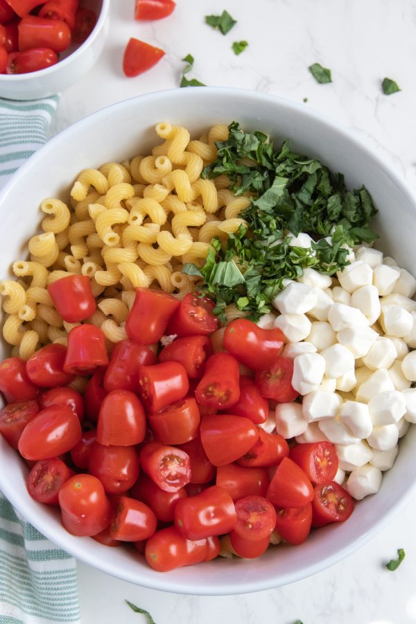 caprese salad ingredients in a bowl 