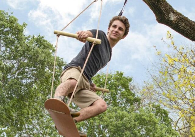 Outdoor Tree Swing on Sale