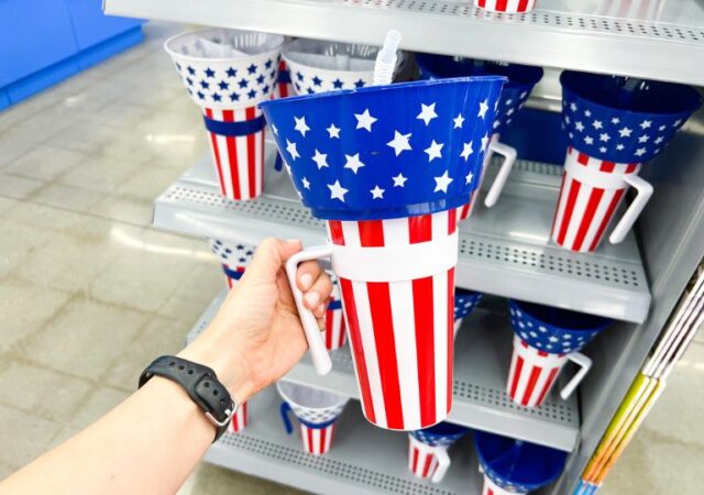 Walmart 4th of July Finds