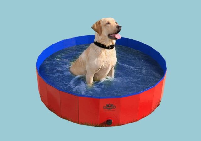 foldable-swimming-pool-1