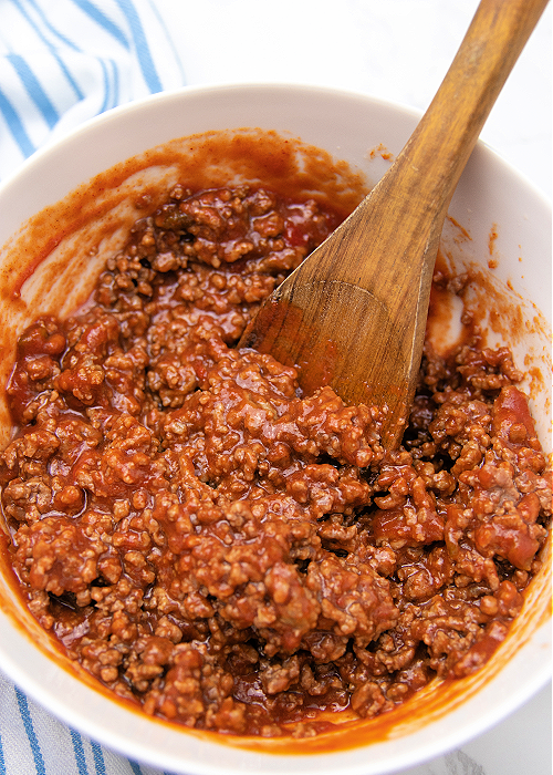 sloppy joe mixture